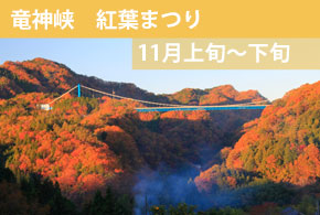 季節イベント 竜神大吊橋公式サイト